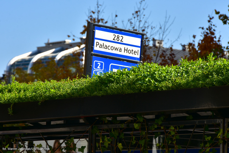 Bialystok green roof